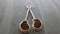 Natural Ammonite Stone Stamped Sterling Silver Long Swing Dangle Earrings
