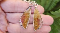 Orange Yellow Fossil Coral Sterling Silver Dangle Earrings